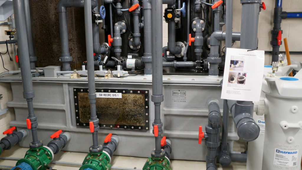 Dura-Tech recirculation filtration system with piping, valves, and control panels in marine research facility