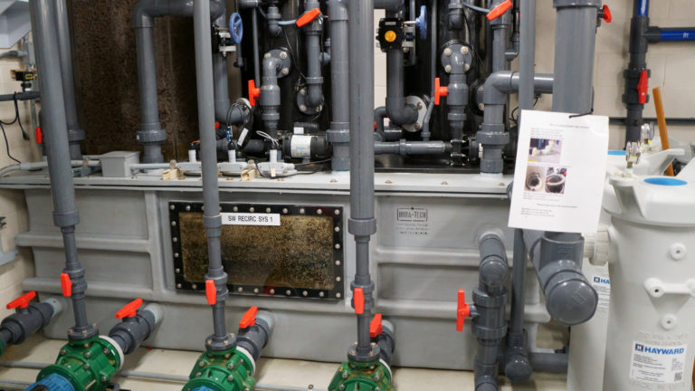 Dura-Tech recirculation filtration system with piping, valves, and control panels in marine research facility